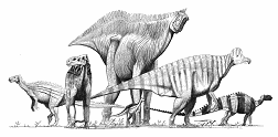 Various Dinosaurs
